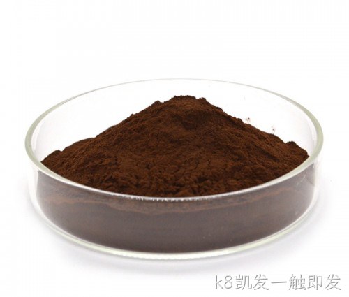 白桦茸提取物/Chaga Mushroom Extract