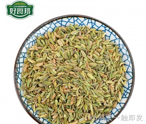 茴香/Fennel seeds